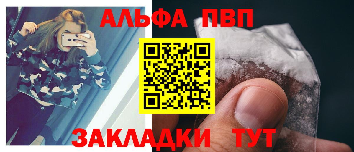 Альфа ПВП СК КРИС Гатчина