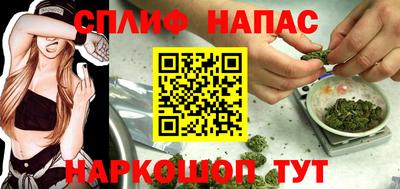 гидропоника Моздок