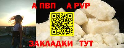 дживик Можга