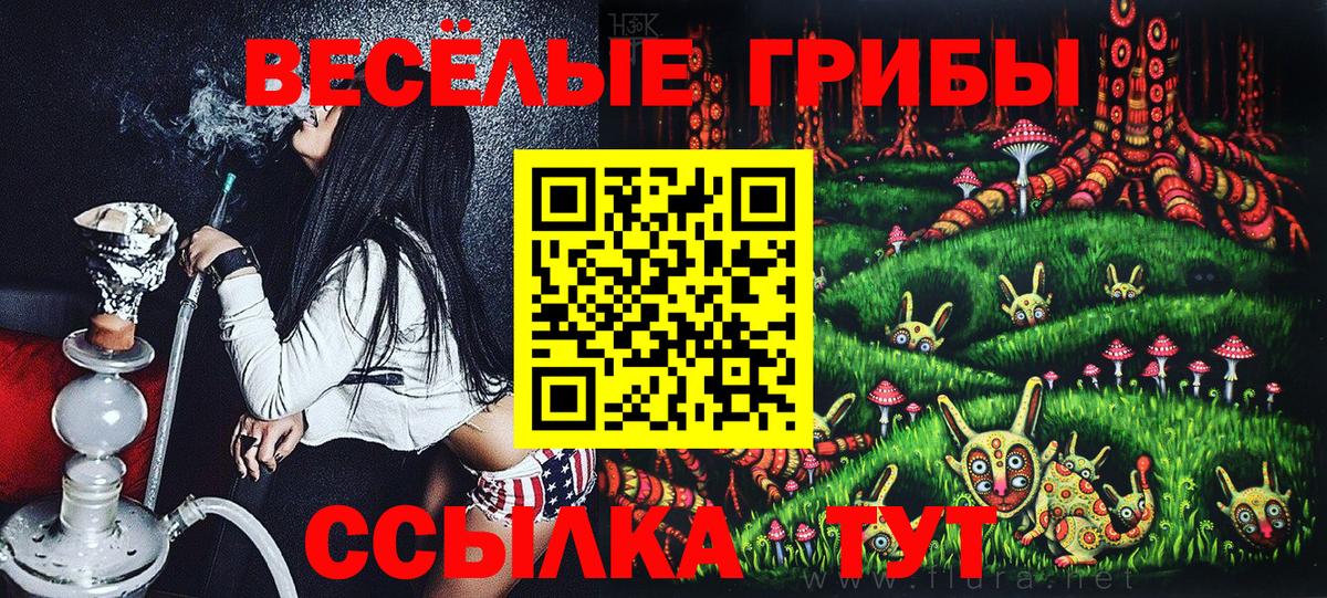 Псилоцибиновые грибы прущие грибы  Вход с VPN  Гатчина  дарнет шоп  Псилоцибиновые грибы мицелий 